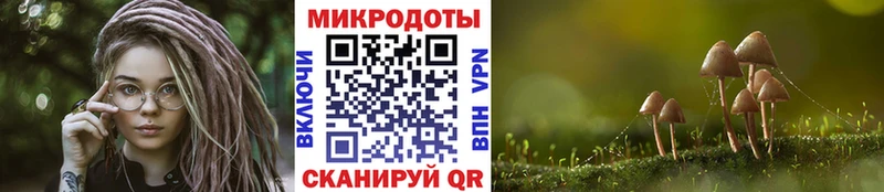 Галлюциногенные грибы прущие грибы  Елизово 